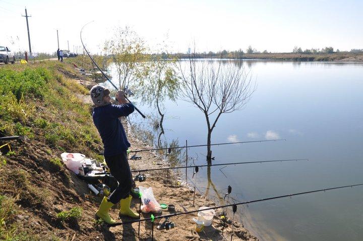  GREENFISH - 2229321448805355832781000018399645172860782243756n.jpg